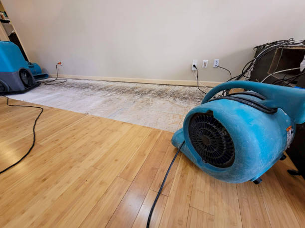 Professional Structural Drying technician working in Loomis, WA
